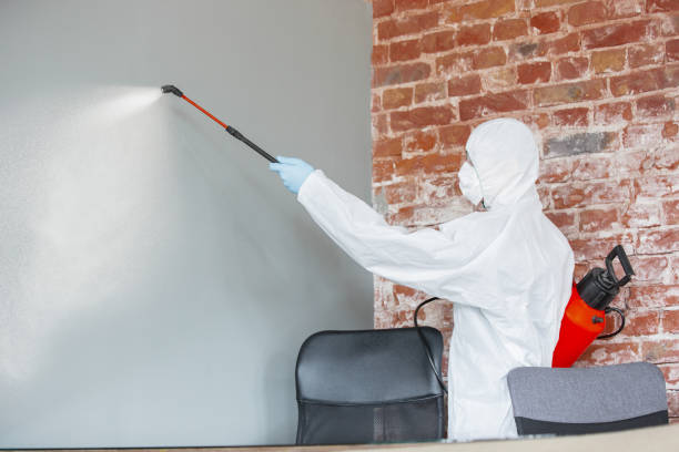 Mold Documentation for Insurance Claims in Buckner, KY