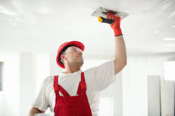 Best Mold Removal for HVAC Installations  in Buckner, KY
