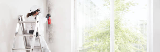 Best Residential Mold Inspection & Testing  in Buckner, KY